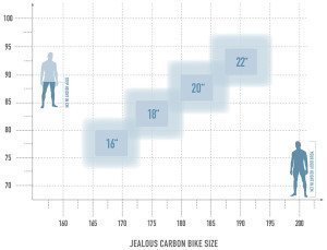 Radon Jealous 8.0 – Bild 10