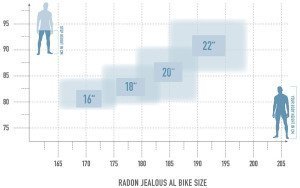 Radon JEALOUS AL 8.0 HD – Bild 11